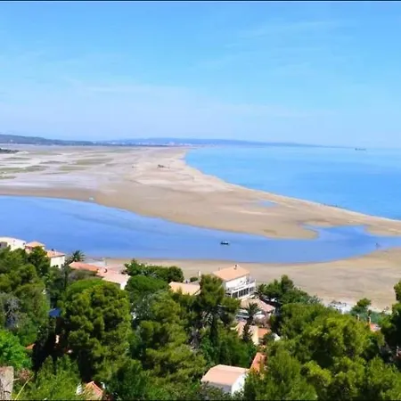 Nefs Des Sables *