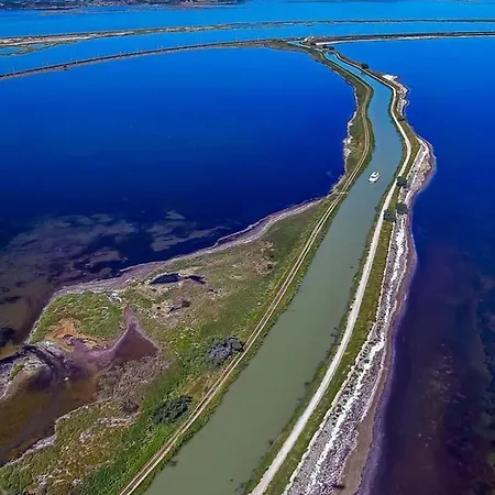 Nefs Des Sables * 勒卡特