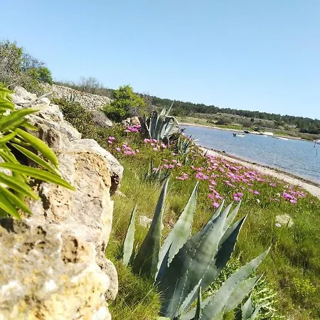 Nefs Des Sables Leucate