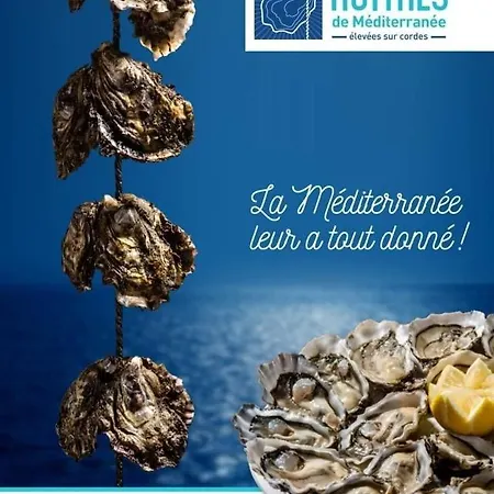 Nefs Des Sables * לאוקאט