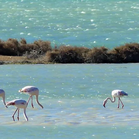 Διαμέρισμα Nefs Des Sables Leucate