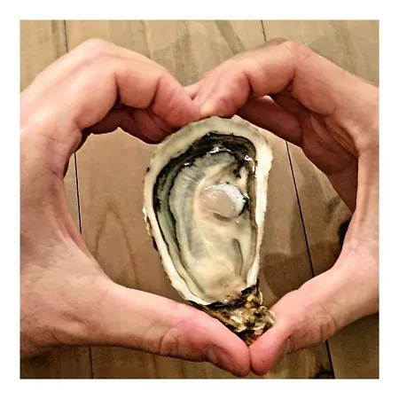 Nefs Des Sables * לאוקאט