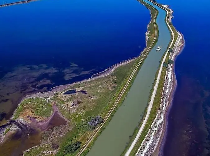 Nefs Des Sables * 루케이트