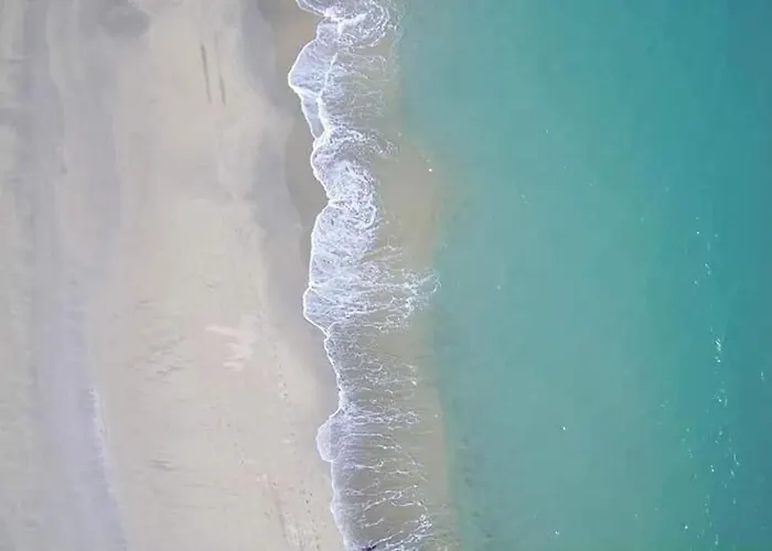 Nefs Des Sables * 루케이트