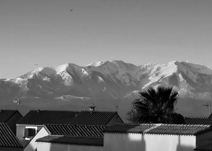 Nefs Des Sables * 루케이트