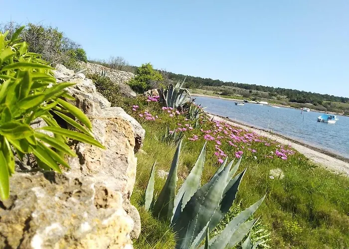 Nefs Des Sables Leucate