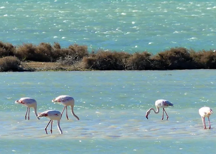 아파트 Nefs Des Sables 루케이트